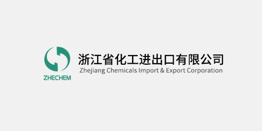 主題教育進行時丨浙江化工黨委書記、董事長顏雷翔開展主題教育“大調(diào)研”活動